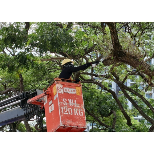 Lorry crane man basket rental service 